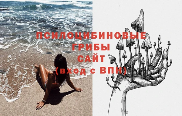 ГАЛЛЮЦИНОГЕННЫЕ ГРИБЫ Верея